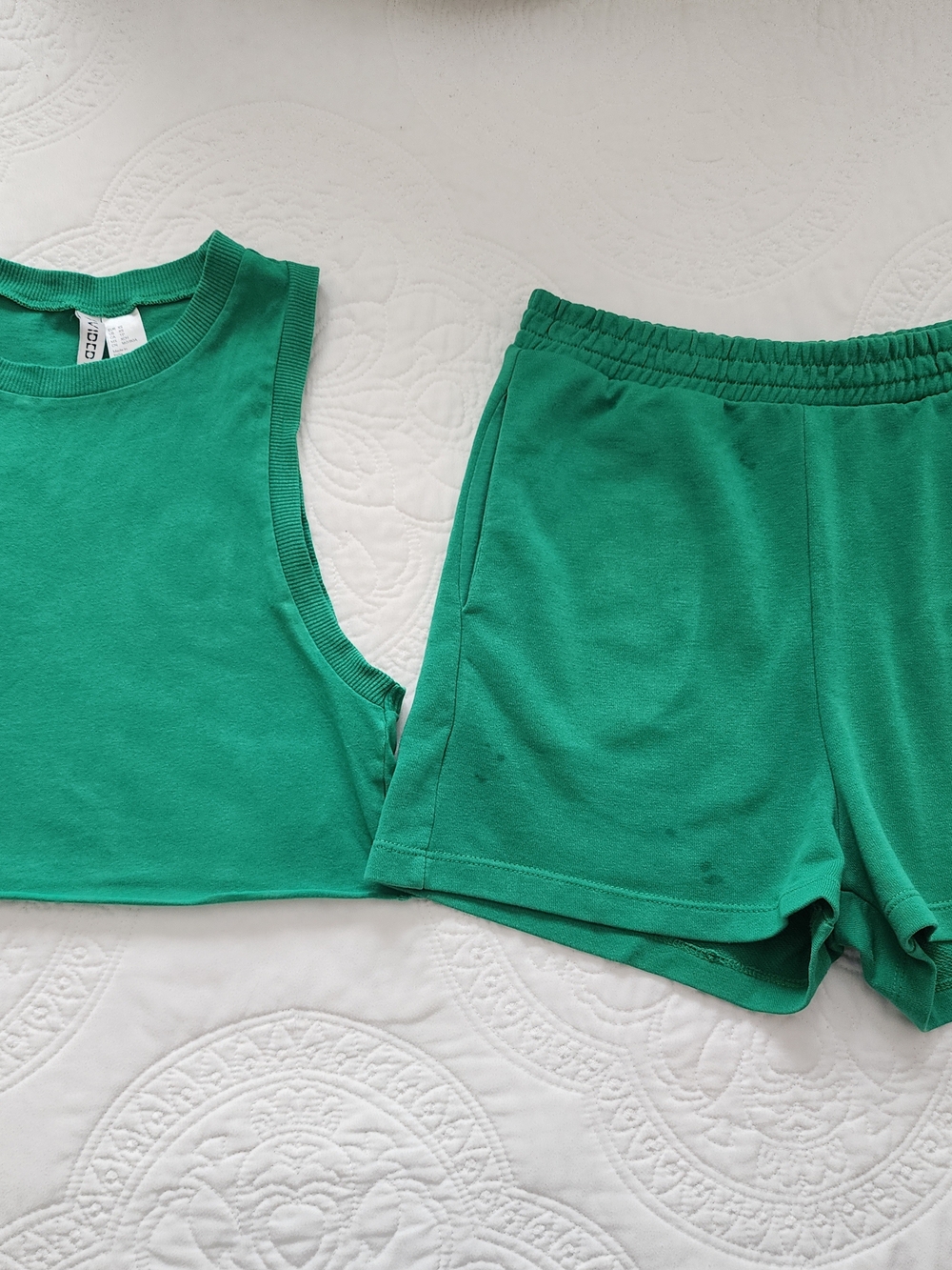 Divided Green Women's Shorts